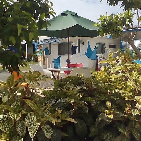 Cottage Blue Kabira 石垣市 エクステリア 写真